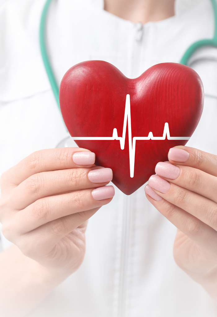 Manos sosteniendo un corazón rojo con línea de pulso simbolizando cuidado y salud cardiovascular