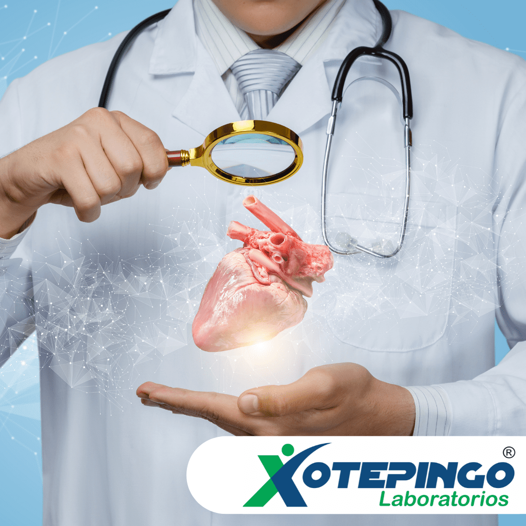 Laboratorios Xotepingo | Cardiología